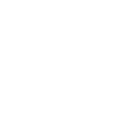 shopy
